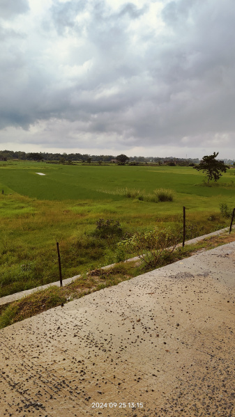  Residential Plot 72 Dismil for Sale in Binjharpur, Jajpur