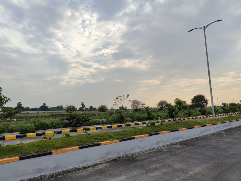  Residential Plot 140 Sq. Yards for Sale in Rudraram, Hyderabad