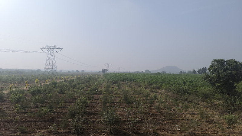  Agricultural Land 25 Cent for Sale in Narasaraopet, Guntur