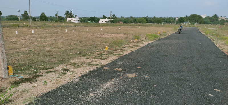  Residential Plot 1163 Sq.ft. for Sale in Irungalur, Tiruchirappalli