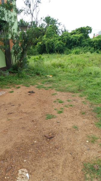  Residential Plot 267 Sq. Yards for Sale in Mummidivaram, East Godavari