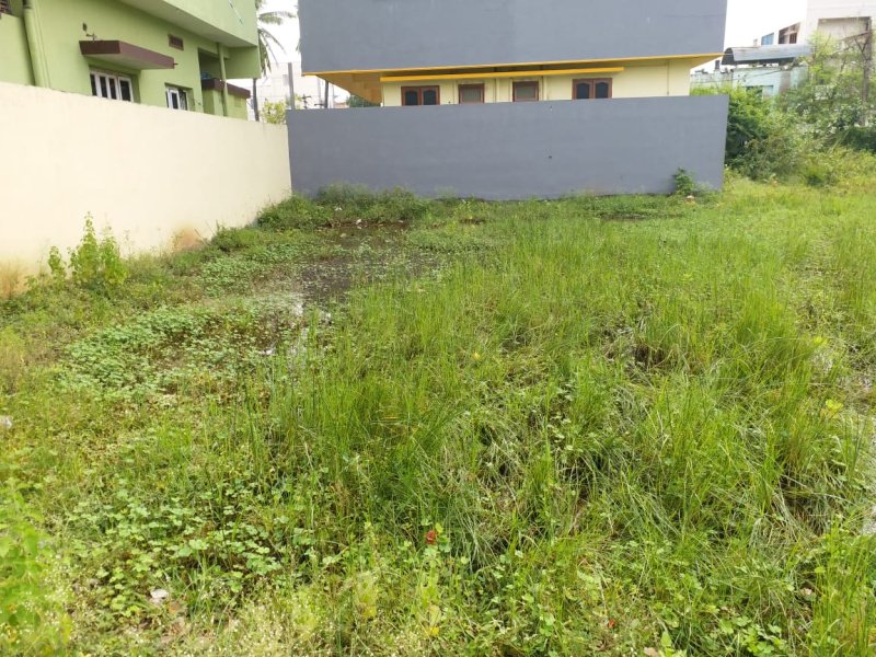  Residential Plot 267 Sq. Yards for Sale in Mummidivaram, East Godavari