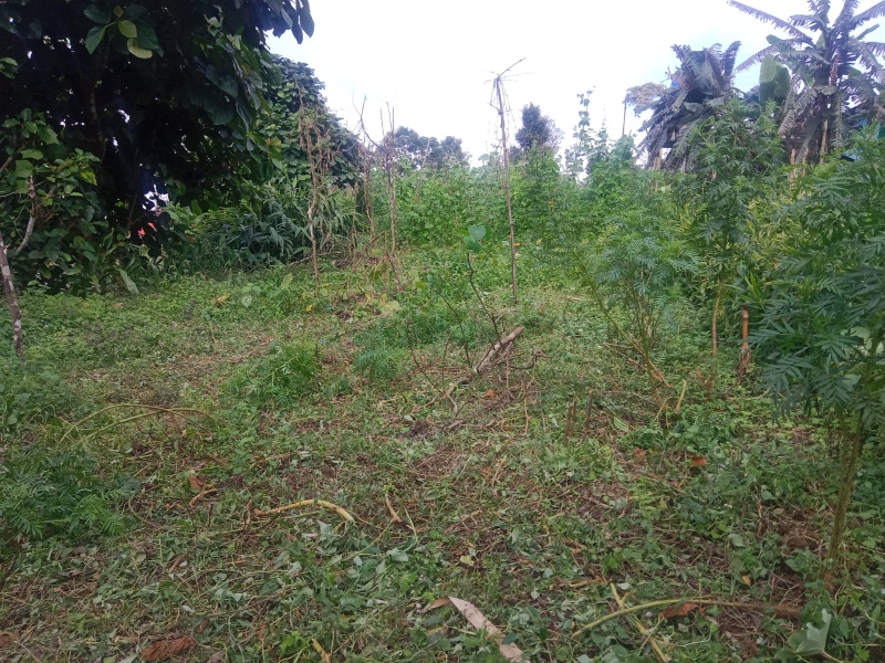  Agricultural Land 15 Dismil for Sale in 8th Mile, Kalimpong