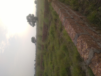  Residential Plot for Sale in Botanda, Bhubaneswar