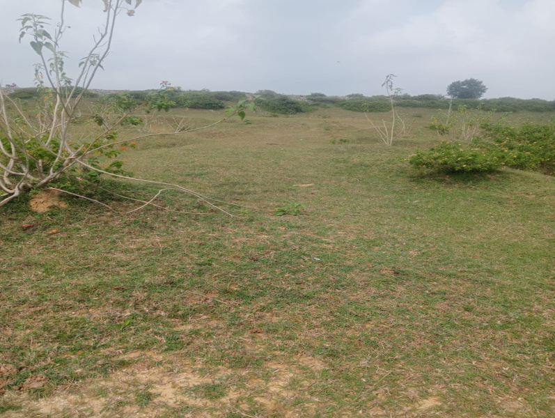  Agricultural Land 3 Acre for Rent in Hirabag, Hazaribagh