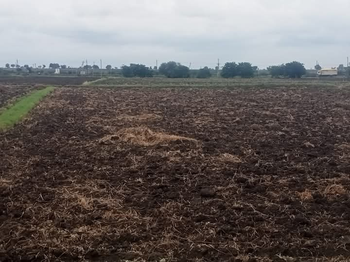  Agricultural Land 18 Acre for Sale in Ballari, Bellary