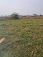  Residential Plot for Sale in Pathapadu, Vijayawada
