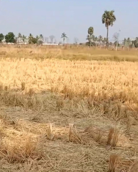  Agricultural Land for Sale in Nakrekal, Nalgonda