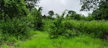  Agricultural Land for Sale in Kolad, Raigad