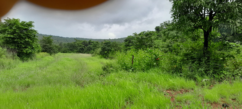  Agricultural Land 52 Guntha for Sale in Kolad, Raigad