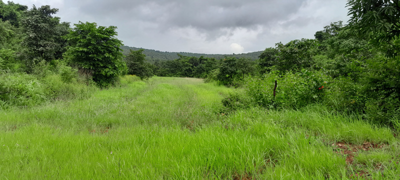  Agricultural Land 52 Guntha for Sale in Kolad, Raigad