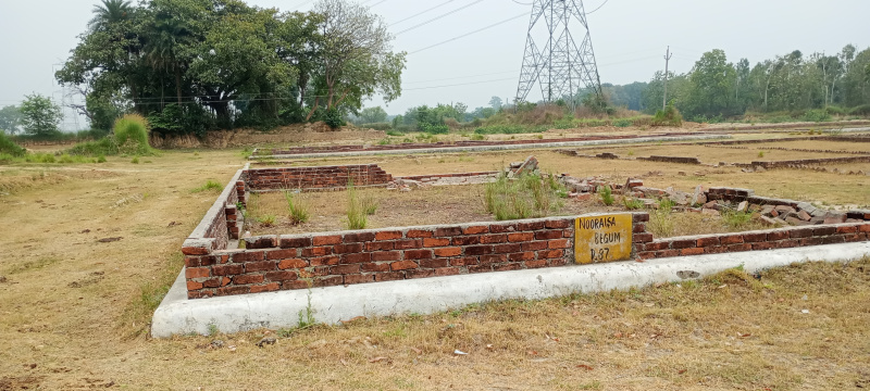  Residential Plot 1000 Sq.ft. for Sale in Safdarganj, Barabanki