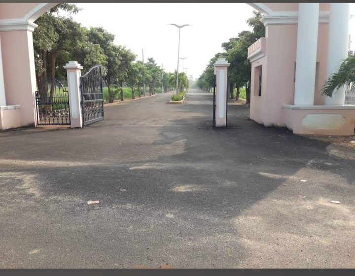  Residential Plot 267 Sq. Yards for Sale in Bhogapuram, Visakhapatnam