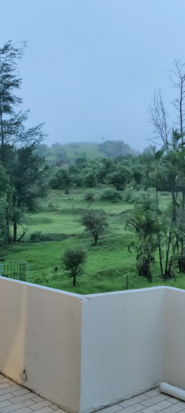  72 Guntha Agricultural/Farm Land for Sale in Amba, Kolhapur