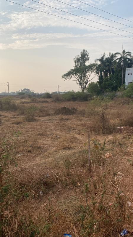  Commercial Land 6600 Sq.ft. for Sale in Abhanpur, Raipur