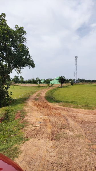 2 BHK Farm House 3 Acre for Sale in Udala, Mayurbhanj