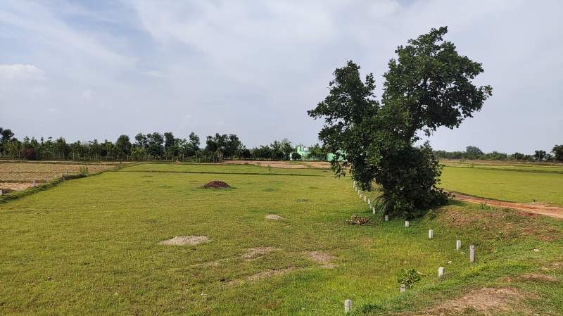 2 BHK Farm House 3 Acre for Sale in Udala, Mayurbhanj