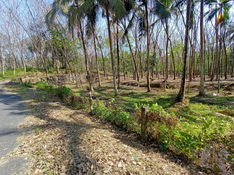  Residential Plot 2 Cent for Sale in Sasthamangalam, Thiruvananthapuram