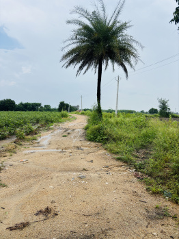  Agricultural Land for Sale in Nandigama, Hyderabad