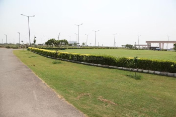  Residential Plot for Sale in Yamuna Expressway, Greater Noida