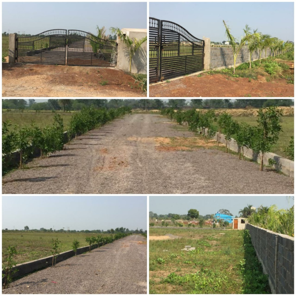  Agricultural Land 6000 Sq.ft. for Sale in Naya Raipur, Raipur