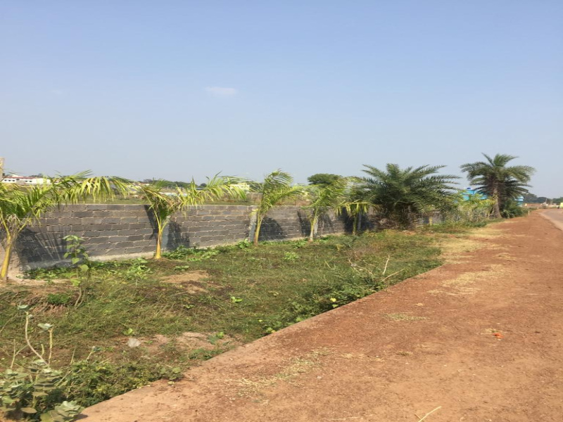 Agricultural Land 6000 Sq.ft. for Sale in Naya Raipur, Raipur
