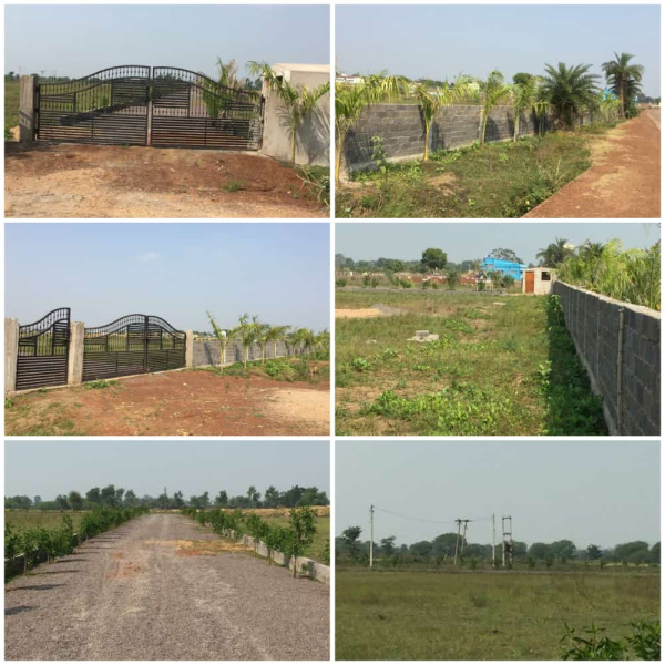  Agricultural Land 6000 Sq.ft. for Sale in Naya Raipur, Raipur