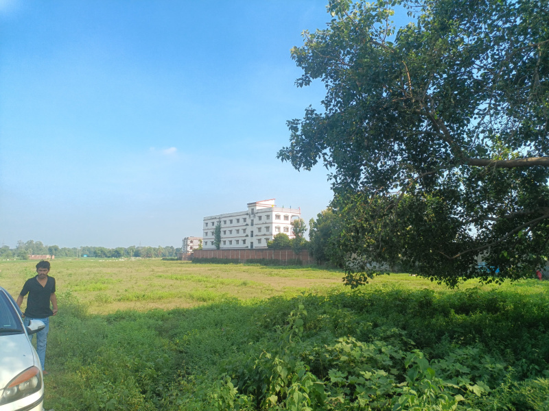  Residential Plot 800 Sq.ft. for Sale in Bihta, Patna