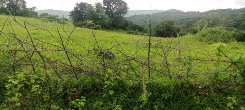  4 Acre Agricultural/Farm Land for Sale in Tala, Raigad