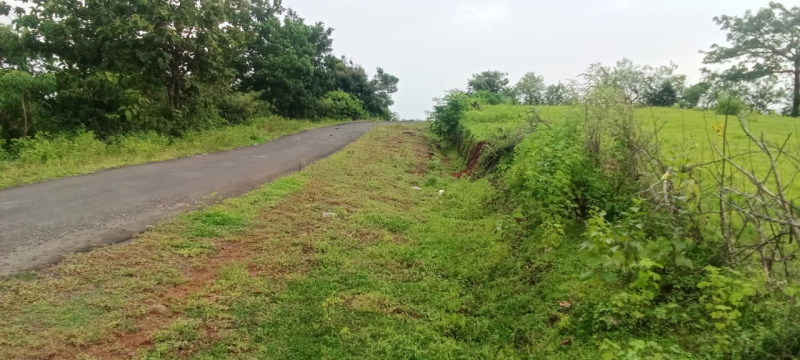  4 Acre Agricultural/Farm Land for Sale in Tala, Raigad