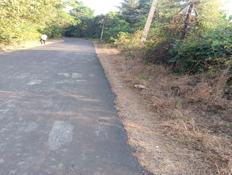  37000 Sq.ft. Agricultural/Farm Land for Sale in Mangaon, Raigad