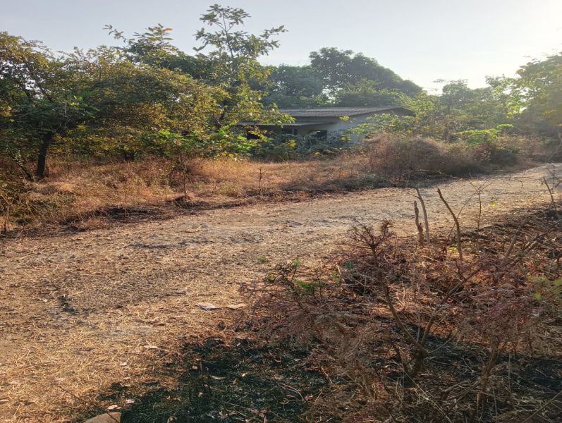  37000 Sq.ft. Agricultural/Farm Land for Sale in Mangaon, Raigad