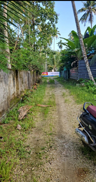  Residential Plot 27 Cent for Sale in Kayamkulam, Alappuzha