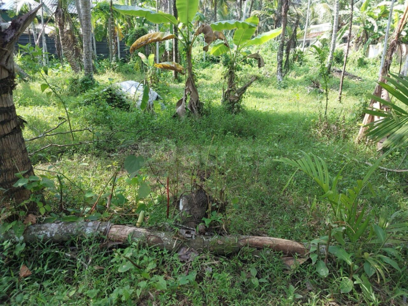  Residential Plot 27 Cent for Sale in Kayamkulam, Alappuzha