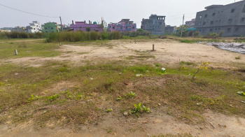  Commercial Land for Sale in Mishrapada, Angul