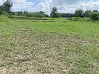  Agricultural Land for Sale in Shambunipet, Warangal