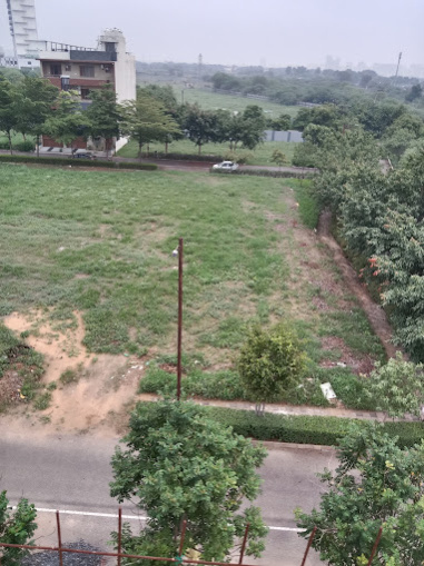  Residential Plot 250 Sq. Yards for Sale in Sector 99 Gurgaon