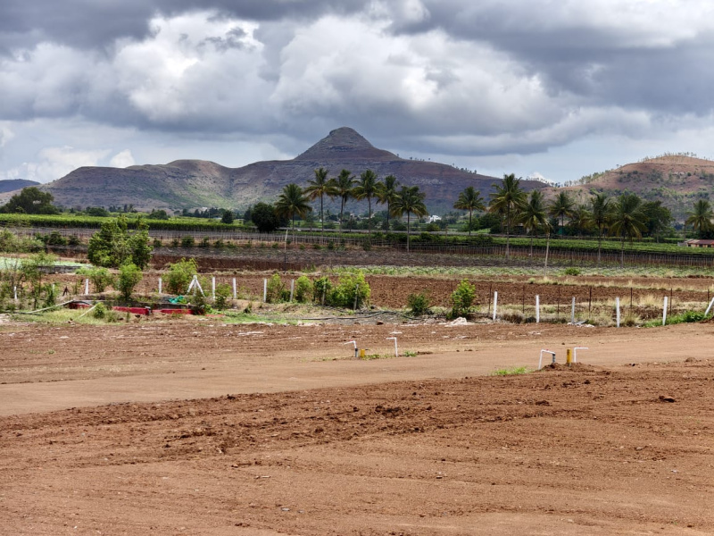  Agricultural Land 10 Guntha for Sale in Dugaon, Nashik