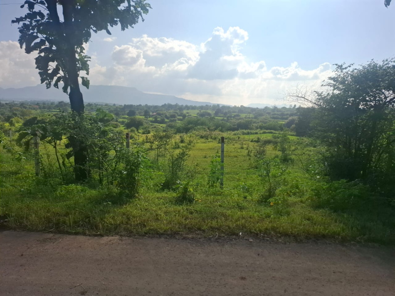  Agricultural Land 20 Guntha for Sale in Mumbai Nashik Highway