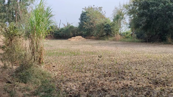  Residential Plot for Sale in Mumbai Agra Highway, Nashik