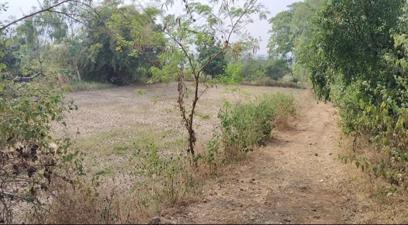  Residential Plot 60 Guntha for Sale in Samarth Nagar, Makhmalabad, Nashik