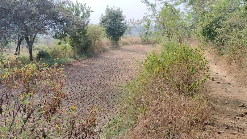  Residential Plot 60 Guntha for Sale in Mumbai Agra Highway, Nashik