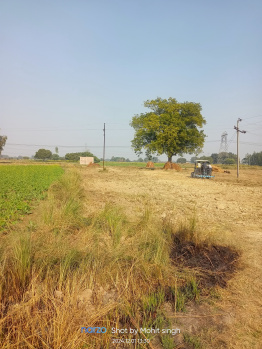  Residential Plot for Sale in Akbarpur, Kanpur Dehat