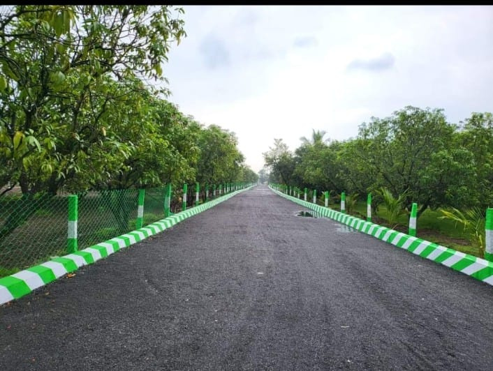  Residential Plot 9600 Sq.ft. for Sale in Acharapakkam, Chengalpattu