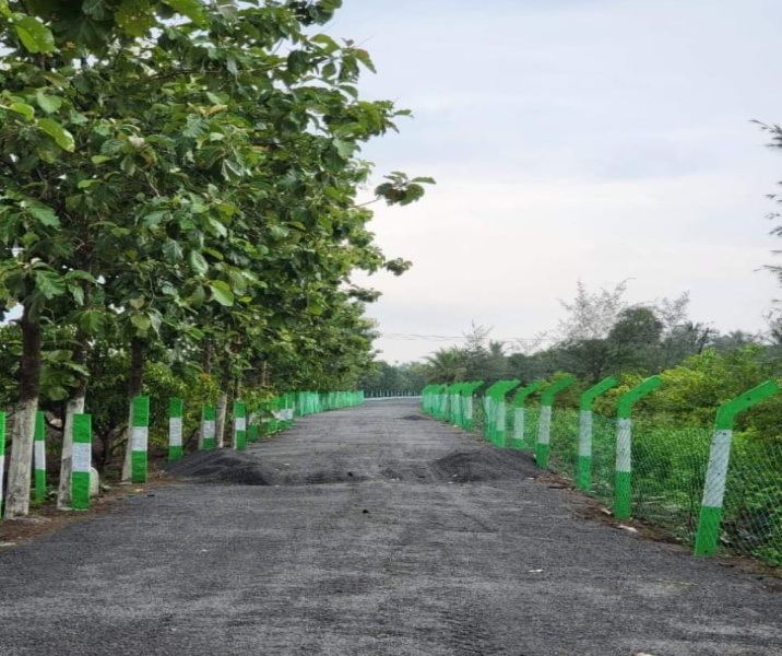  Residential Plot 9600 Sq.ft. for Sale in Acharapakkam, Chengalpattu