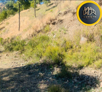  Commercial Land for Sale in Rabon, Solan