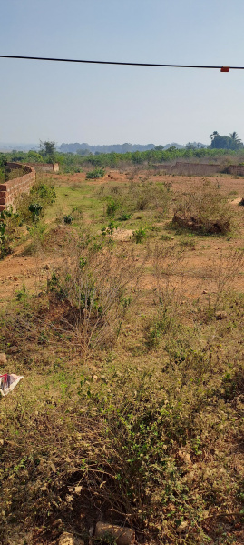  Commercial Land 1 Acre for Sale in Similia, Dhenkanal