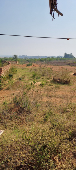  Commercial Land 1 Acre for Sale in Similia, Dhenkanal