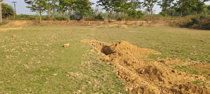  Commercial Land 1 Acre for Sale in Gobindpur, Dhenkanal