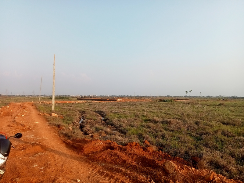  Residential Plot 1200 Sq.ft. for Sale in Sijua, Bhubaneswar